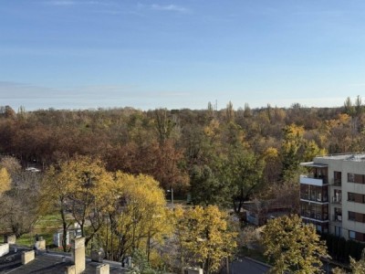 Ostatnie apartamenty z widokiem na Park na Zdrowiu